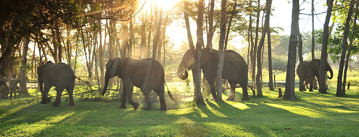 LUXURY-SAFARIS-E