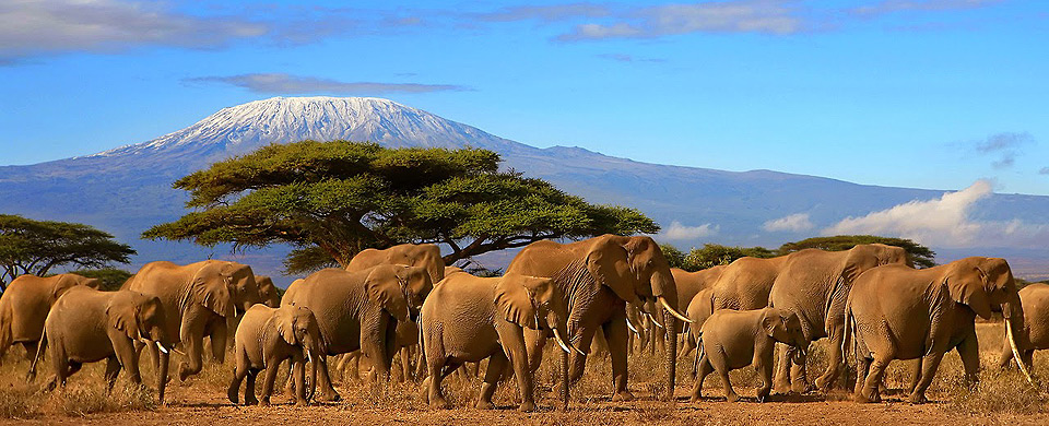 LUXURY-SAFARIS-E