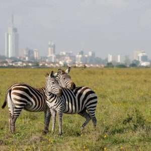 Nairobi National Park