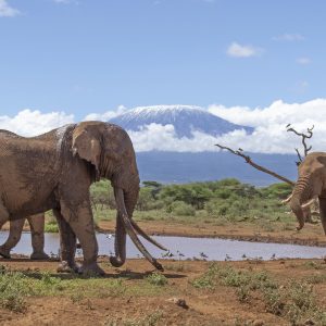 Amboseli National Park